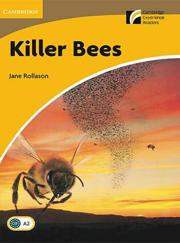 Killer Bees + QR